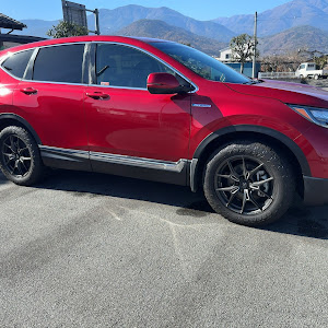 CR-V RT6