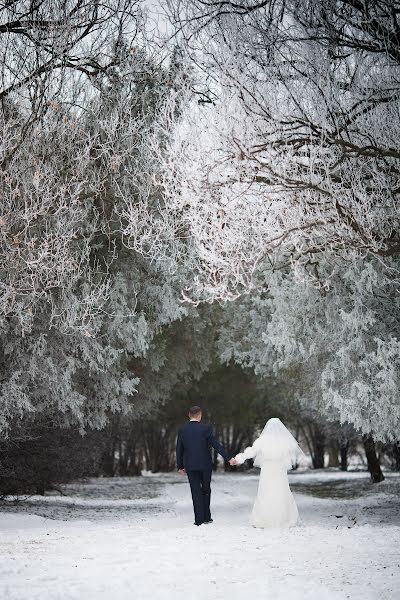 結婚式の写真家Nikolay Parovyshnik (danagan)。2014 2月9日の写真