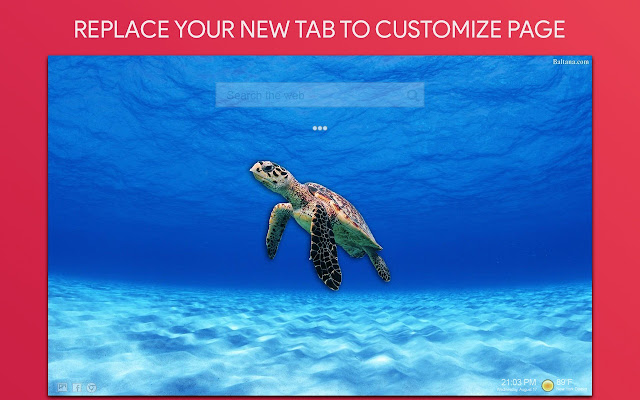 Sea Turtle Wallpaper HD Custom New Tab