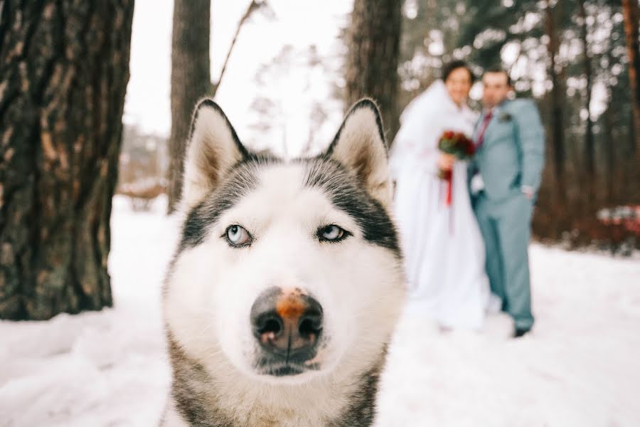 Fotógrafo de casamento Polina Mishurinskaya (lina123). Foto de 21 de fevereiro 2018