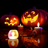 HALLOWEEN LiveWallpaper Trial icon