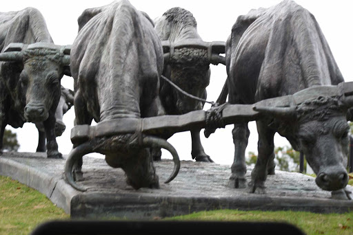 DSC_0248.jpg - A statue of bulls in the center of Montevideo, expressing the hard work it was to develop the area.