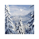 Winter Snow Wallpaper New Tab Theme