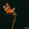 Halloween pennant