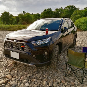 RAV4 MXAA54