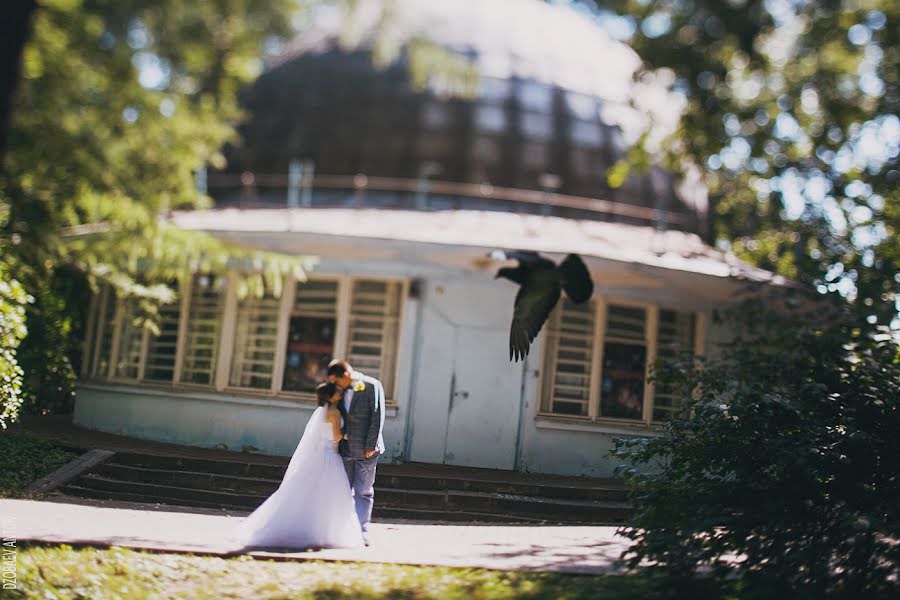 Fotógrafo de bodas Anton Dzobaev (antondzobaev). Foto del 5 de agosto 2014