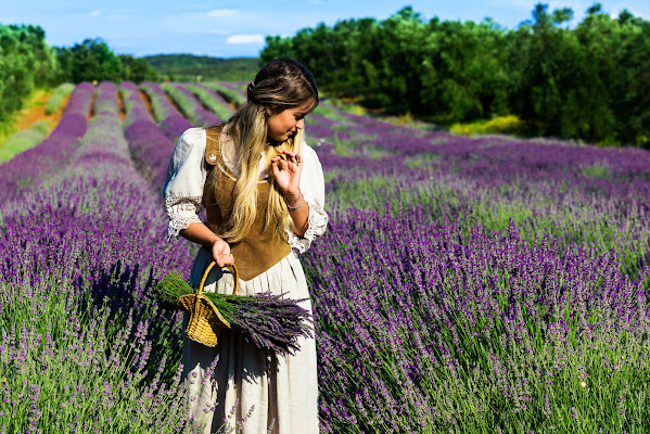 Colori di lavanda di Fiore Doncovio