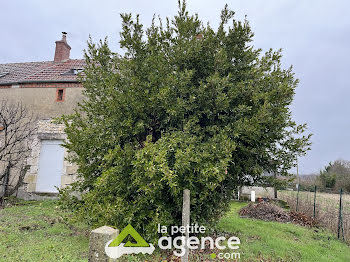 maison à Veaugues (18)