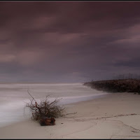 Spiaggia d'inverno di 