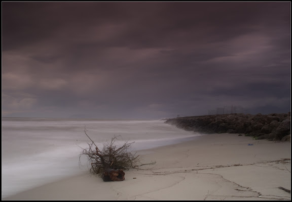 Spiaggia d'inverno di pablo