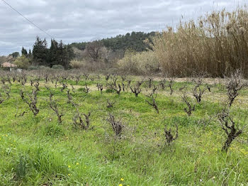 terrain à Pierrefeu-du-Var (83)