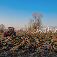 L'uomo e la natura di 