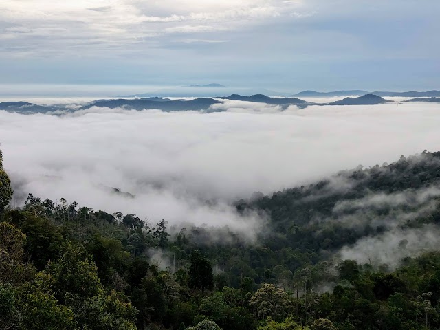 Bukit Senaling Karpet Awan