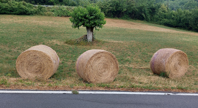 tre balle di elisabettaborgonovo