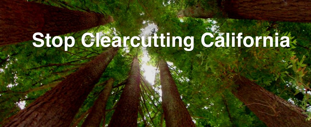 About Clearcutting | Sierra Club