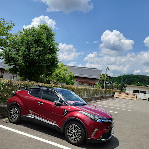 C-HR ZYX10