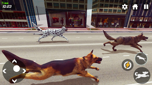 Dog Race Game City Racing