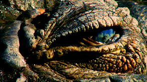 Lake Turkana: Land Of The Crocodile thumbnail