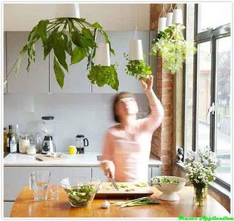 DIY Herb Garden Design Ideas Screenshots 7
