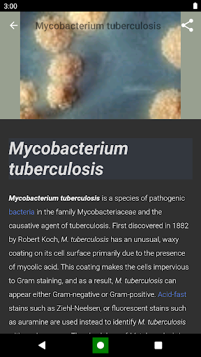 Screenshot Bacteria: Types, Infections