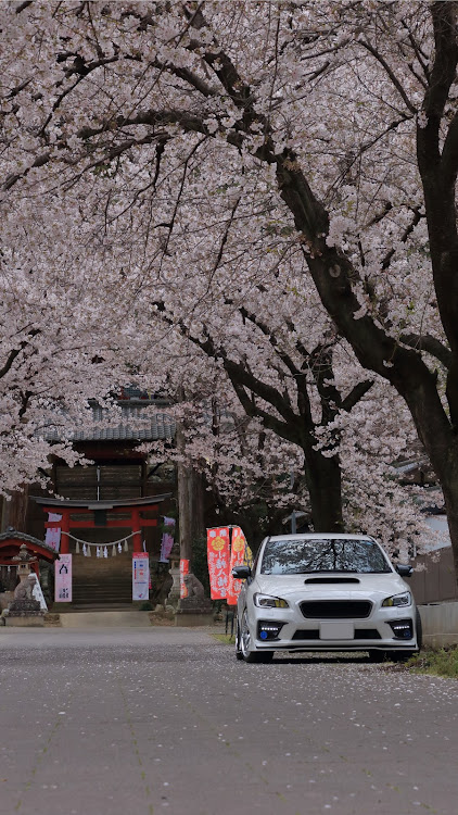 WRX S4の桜と愛車・エンジンオイル交換・爪折り・パンク修理・純水器に関するカスタム事例の投稿画像1枚目