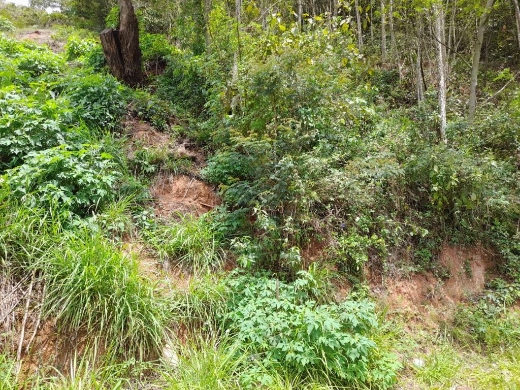 Terreno Residencial à venda em Pimenteiras, Teresópolis - RJ - Foto 2