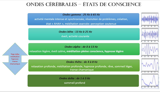 Ondes cérébrales