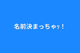 名前決まっちゃｯ！