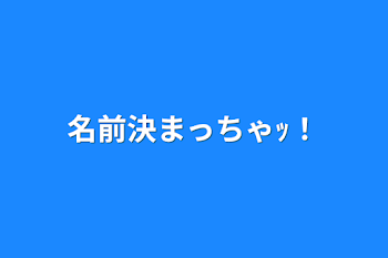 「名前決まっちゃｯ！」のメインビジュアル