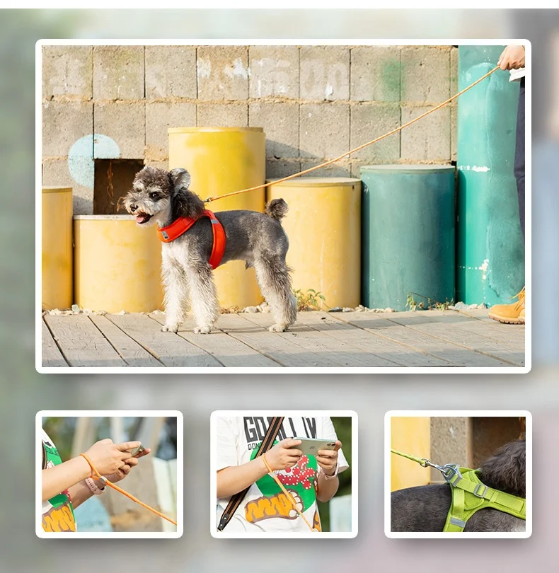 Title 3, Guia ajustável deslizante colorida para animais...