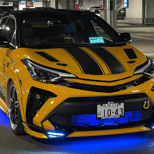 C-HR NGX10