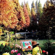 菁芳園 Tenway Garden／花園餐廳／落羽松