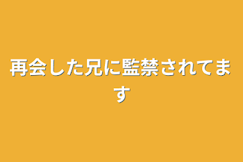 再会した兄に監禁されてます