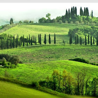 Terra di Toscana di 