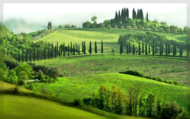 Terra di Toscana di mauro56