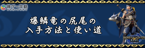 爆鱗竜の尻尾