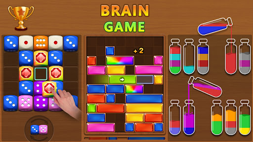 Screenshot Brain Games - Block Puzzle