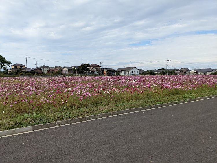 の投稿画像2枚目