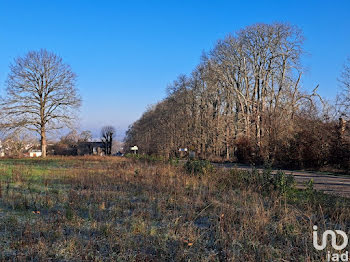 terrain à Seignelay (89)