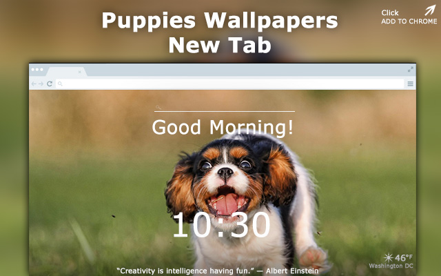 Puppies Wallpapers