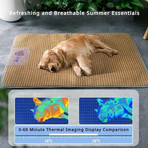 New Pet Spring Summer Cool Mat Seasonal Mat Universal Type Dog Nest Cat Supplies Breathable Moisture-proof Cool But Not 