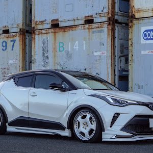 C-HR ZYX11