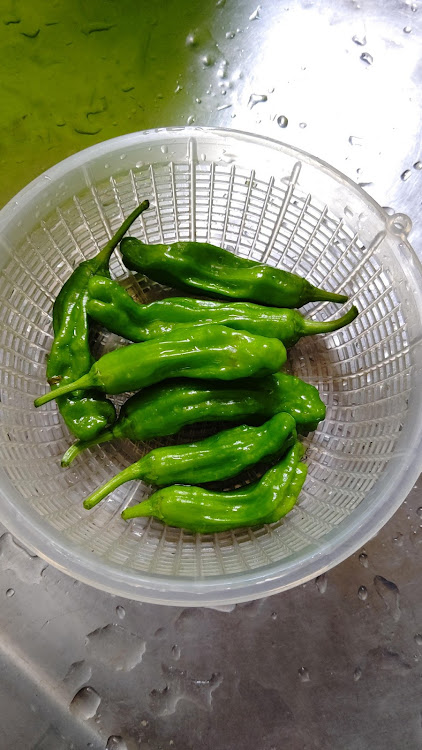 シルビアの#正面写真・正面写真・城岱スカイライン・夏野菜 ちょっと収穫に関するカスタム事例の投稿画像4枚目