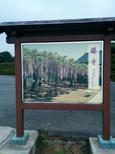 藤寺の看板