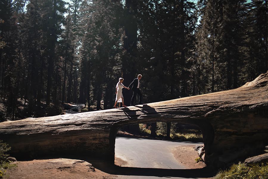 Свадебный фотограф Евгений Шамшура (evgeniishamshur). Фотография от 28 февраля 2018