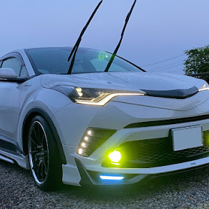 C-HR ZYX10