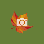 Foliage Leaf Peepr Apk