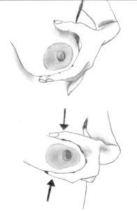 Une image contenant dessin au traitDescription générée automatiquement