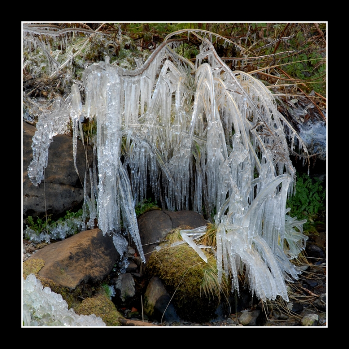 Icebound di zik_nik