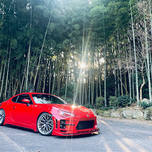 86 ZN6
